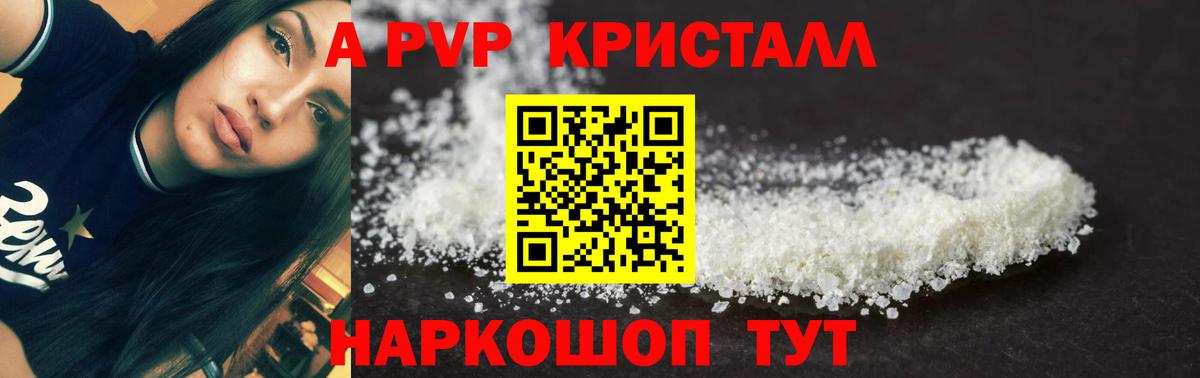 Alfa_PVP СК Сыктывкар