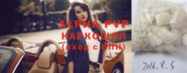 гашик Медногорск