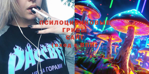 стафф Медвежьегорск