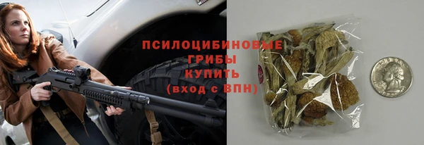 стафф Медвежьегорск