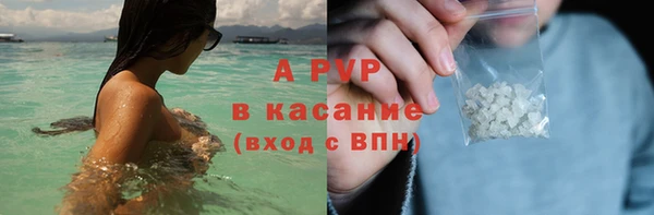 стафф Медвежьегорск