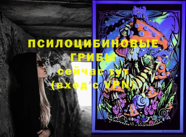 стафф Медвежьегорск