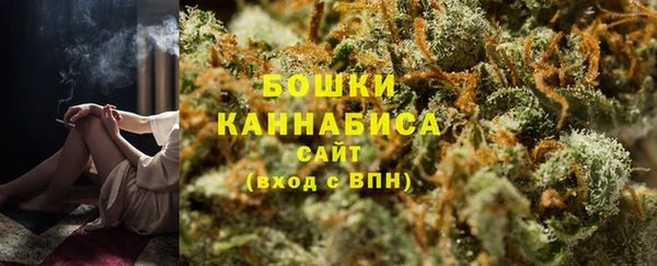 стафф Медвежьегорск