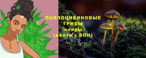 гашик Медногорск