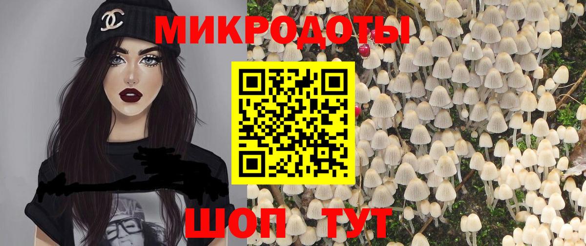 Псилоцибиновые грибы Cubensis Сыктывкар