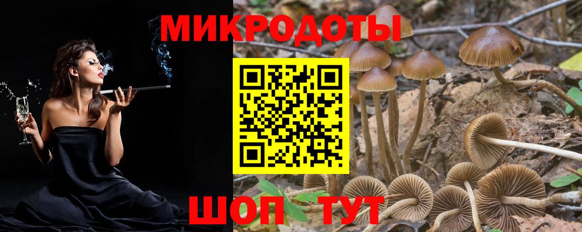 Сыктывкар  Псилоцибиновые грибы GOLDEN TEACHER  Вход с VPN 